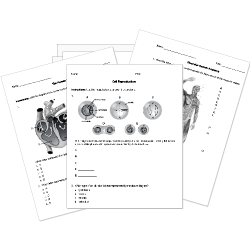 Printable Biology Worksheets