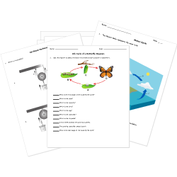 Free Elementary Science Worksheets and Printables - Kindergarten
