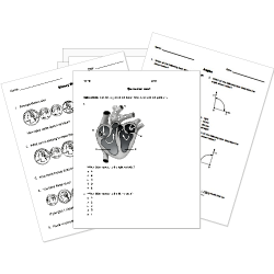 Free Test Maker Create Free Tests And Worksheets